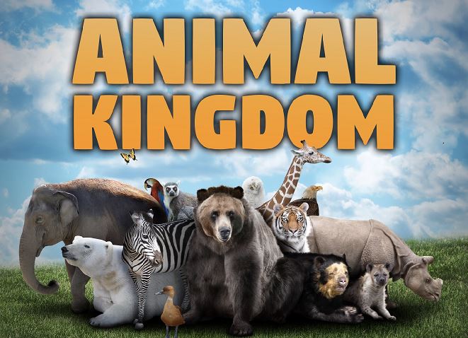 AMINAL-KINGDOM-FICHA